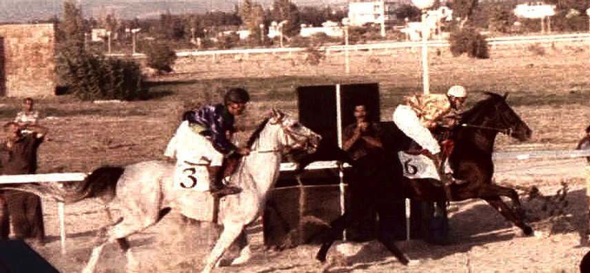 mokhtar-latakia-race-1993_edited.jpg