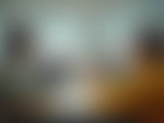 Building Sustainable Outcomes in Educational Support