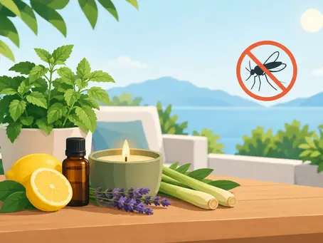 How to Repel Mosquitoes Naturally This Summer