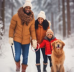 family walking in snow.jpeg