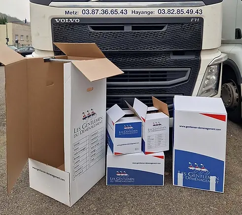 Equipe-demenageur-efficace-avec-materiel-adapte-1200w.jpg