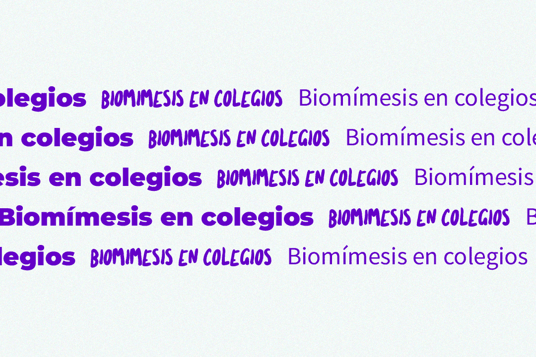 Tipo1.gif