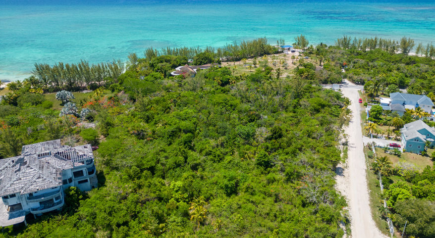 Lion Construction & Development.