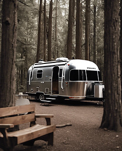 RV Site in the forest with a single airstream_.jpg