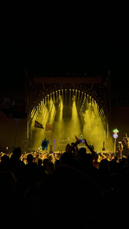 Did Bonnaroo 2025 Really Need To Cancel?
