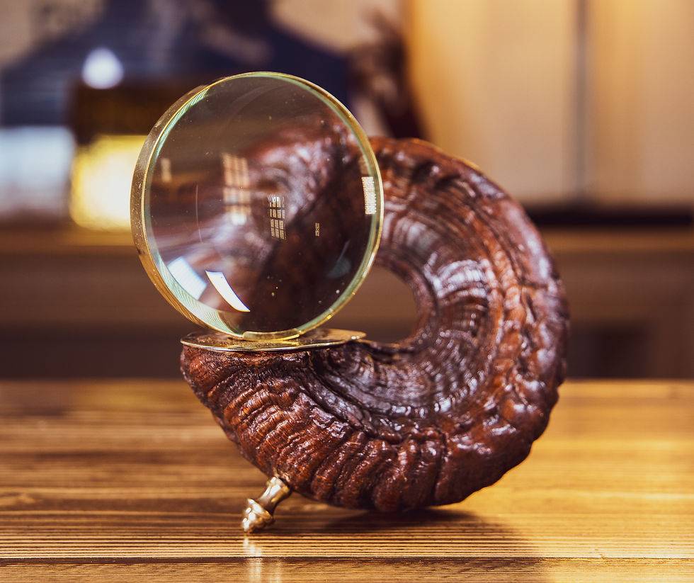 Thumbnail: Halstaff Watch Box/Globe/3x Magnifying Glasses SOLD