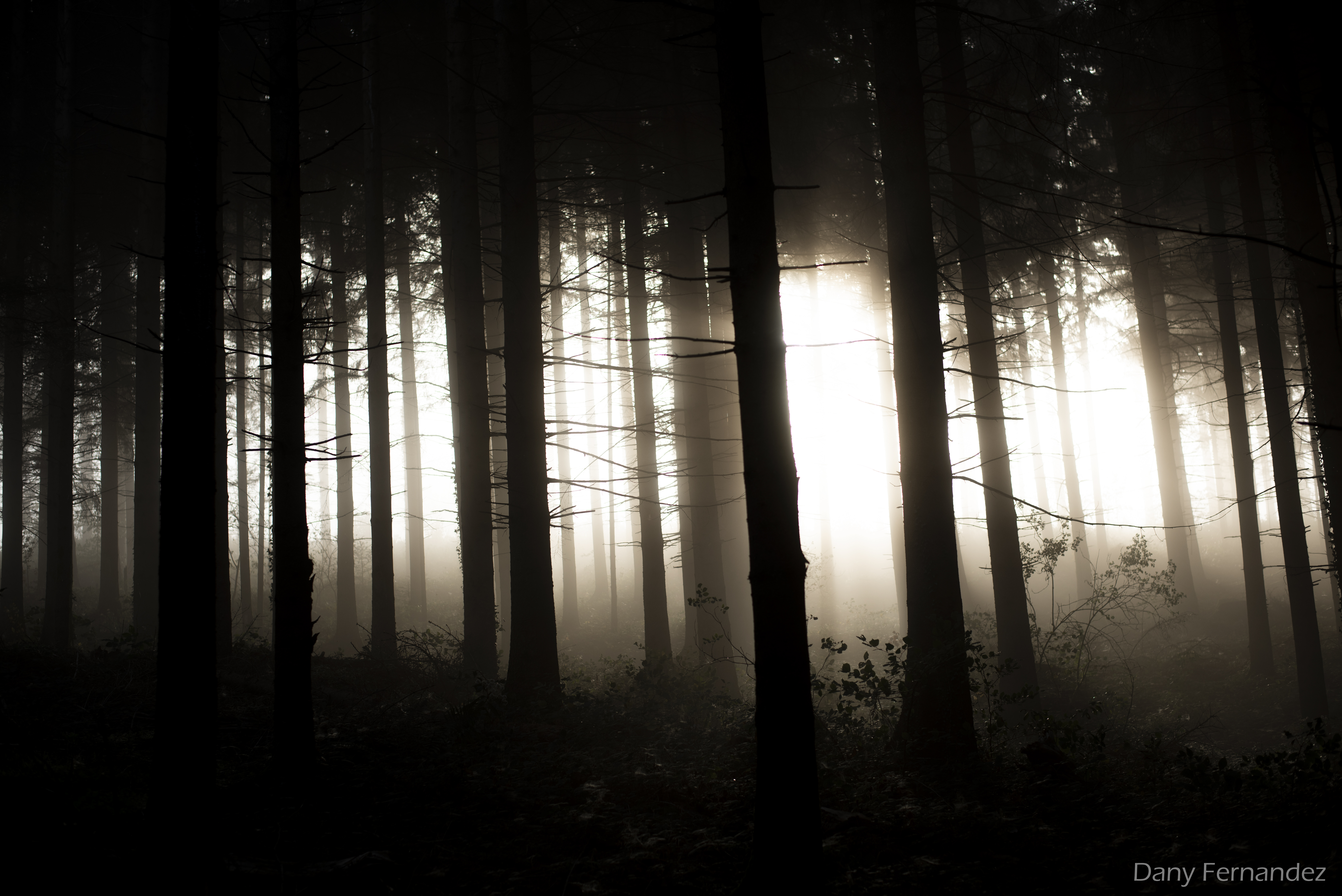 nature 02