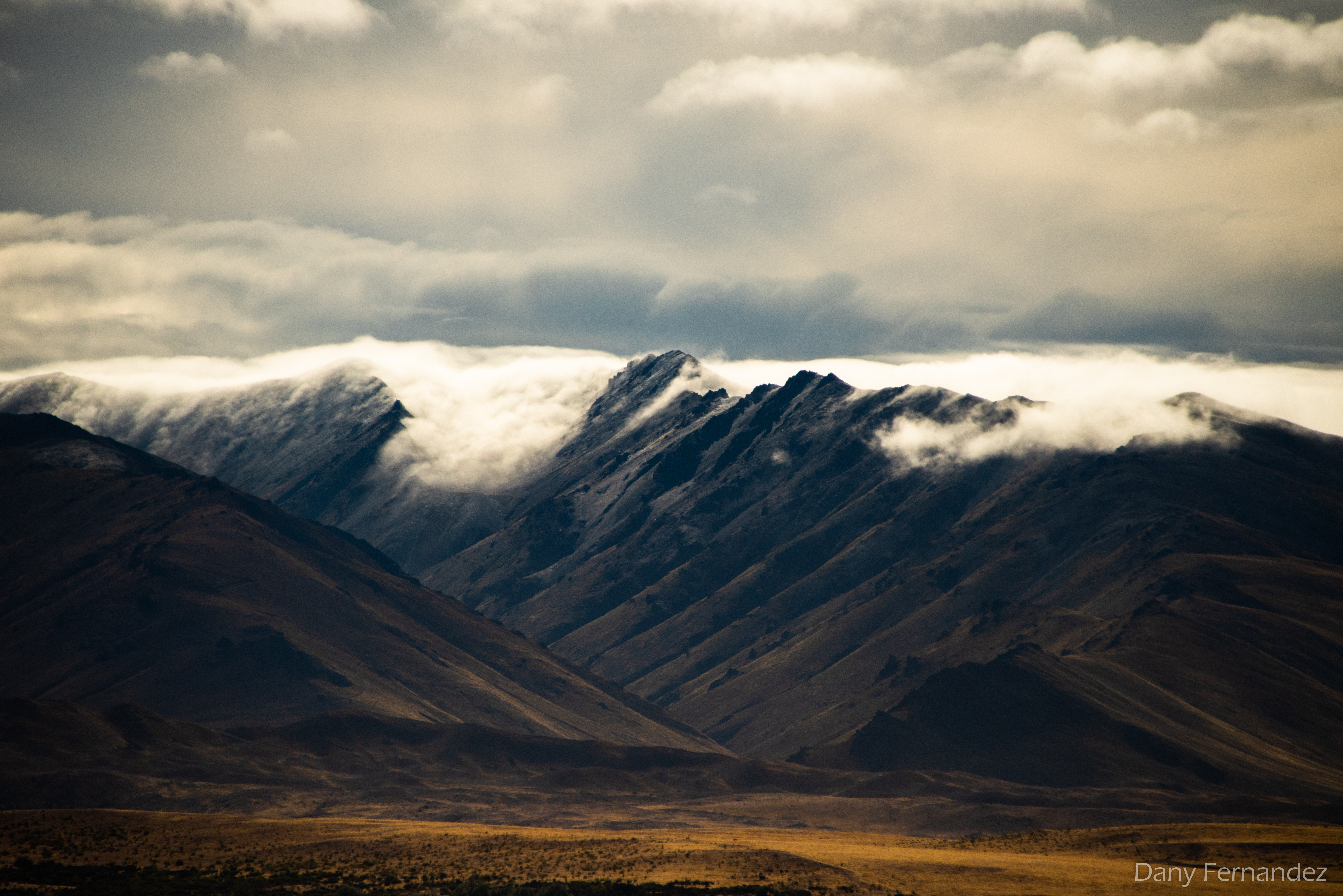 NZ 01