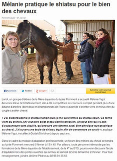 press paumerit jaudy 31 janv 2014.jpg