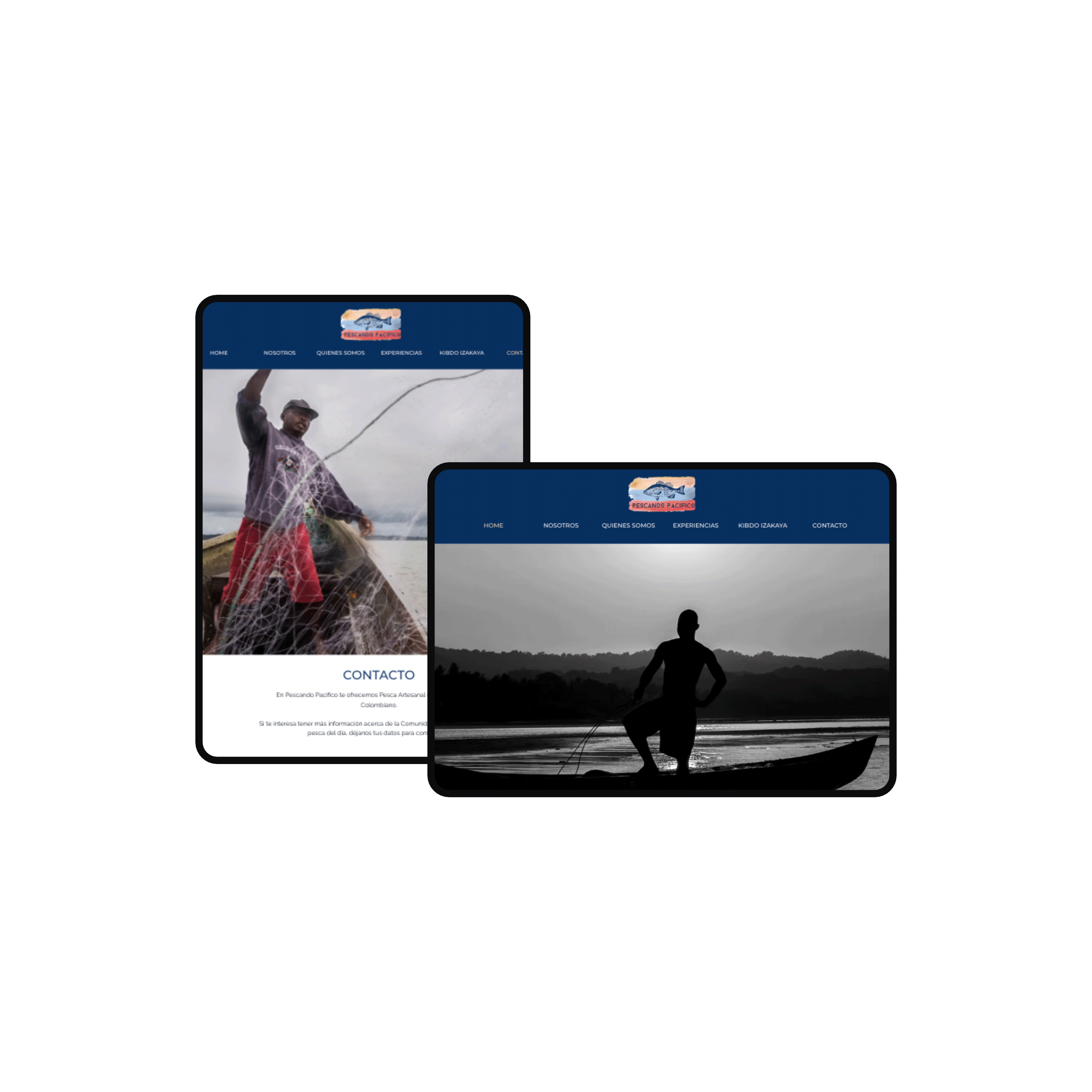 WEB.gif