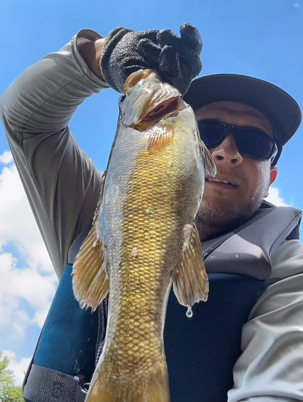 Eye-level view of a largemouth bass swimming in murky water
