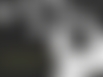 Mental Health - The Missing Link