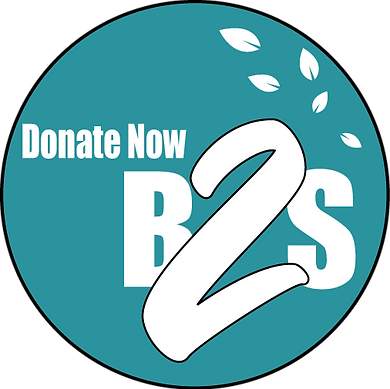 B2S%20logo%20(3)_edited.png