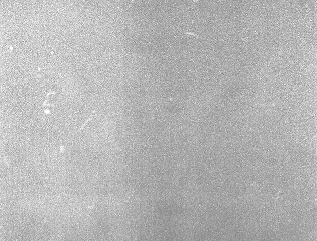 textura 9.png