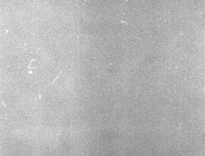 textura 9.png