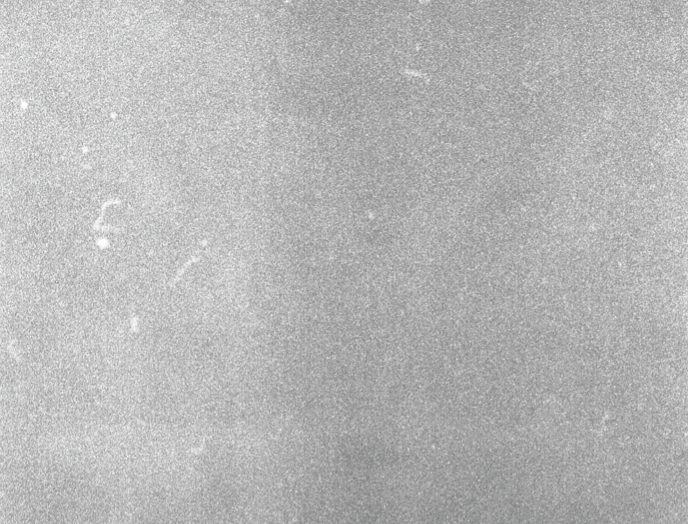 textura 9.PNG