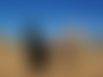 THE PEOPLE OF THE BLUE SKY