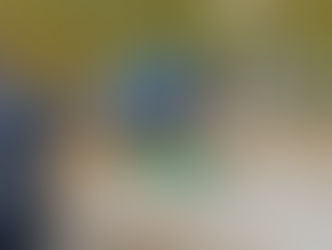 TROFEJ ALBANO ZORZIN