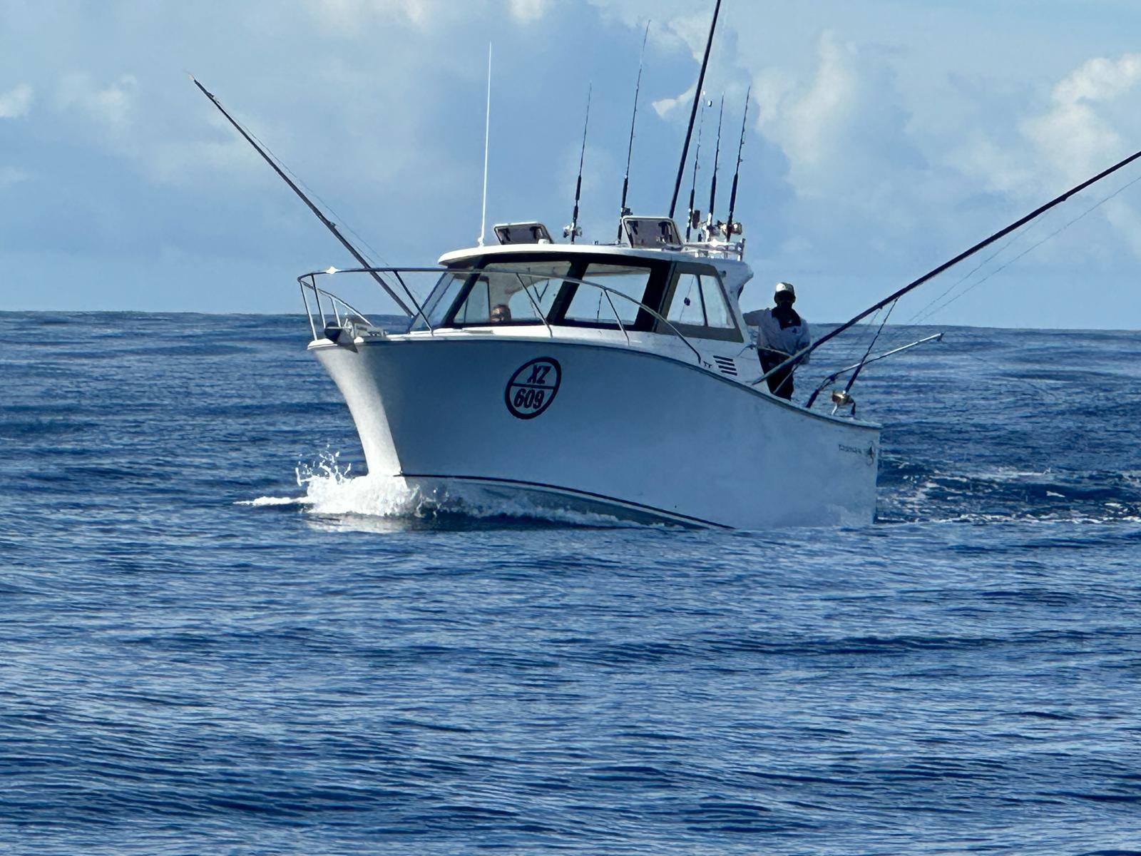 Tasman Boats gallery image