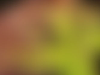 City Smog - Shortens the Life of Trees