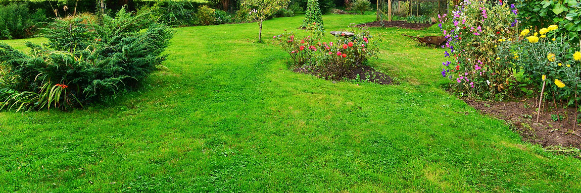 house garden with green grass and flowers