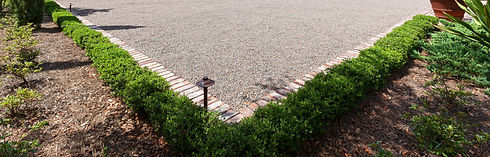 green grass and driveway