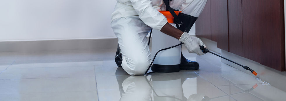 a worker's hands while spraying disinfectant on the floor
