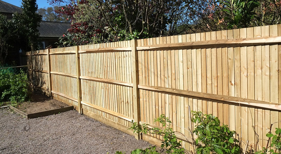 wooden fence and trees