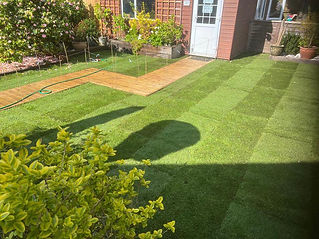 garden with green grass and a pathway