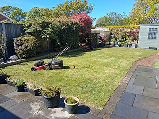 A sunny backyard garden with a neatly mowed lawn
