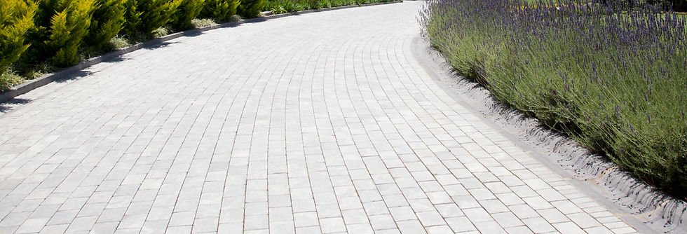 Plants along cobblestone driveway