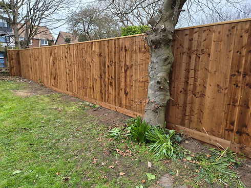 wooden fence and tree
