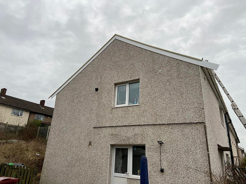 ladder and roofline of a house