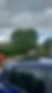 a tree and well trimmed hedges