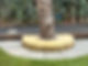 a tree and wooden platform