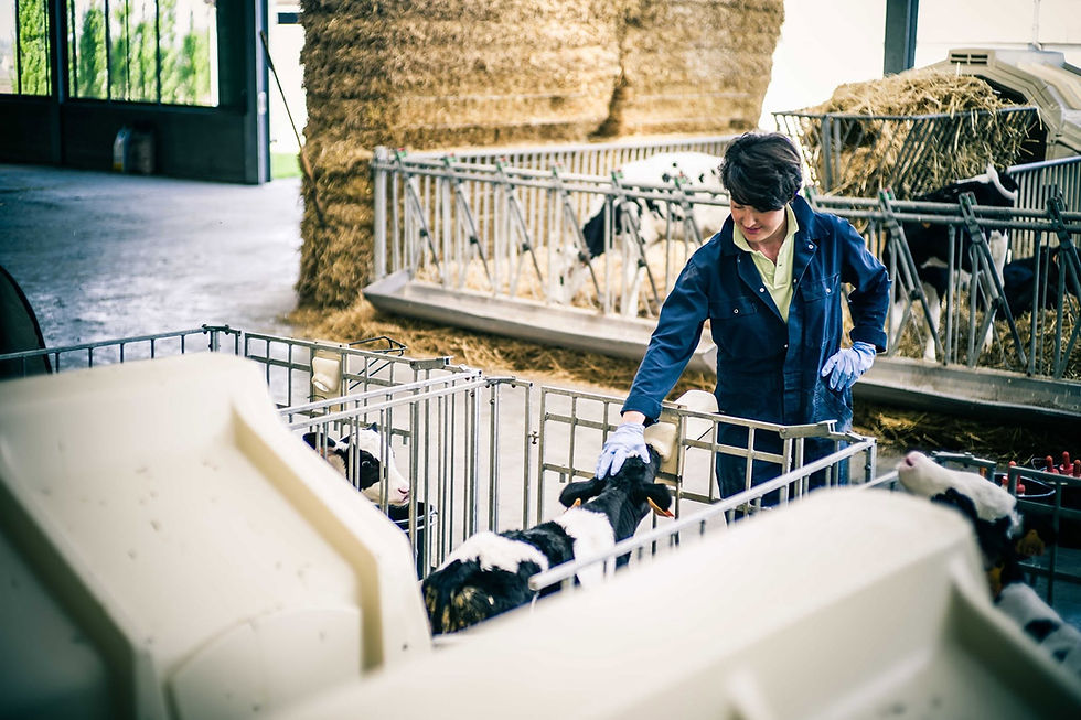 a woman in farm