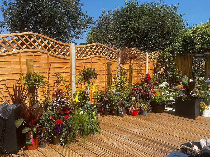 wooden fence and garden