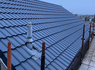 roof with dark tiles