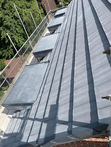 roof with black tiles