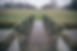 wooden bridge