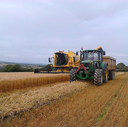 A tractor and a combine harvester operate together in a vast agricultural field