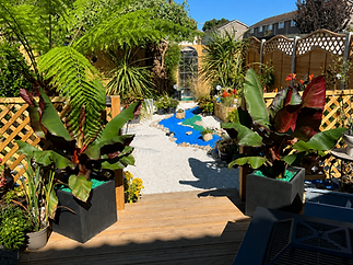 A serene garden featuring a tranquil pond surrounded by various lush plants and greenery_