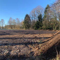 An empty field with patches of mud, surrounded by trees and bushes under a clear blue sky.