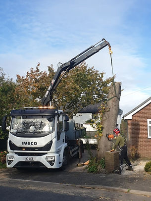 A worker using a chainsaw to cut down a tree while a crane truck is positioned nearby, with a residential house in the background.