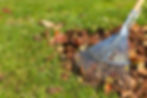 rake and leaves