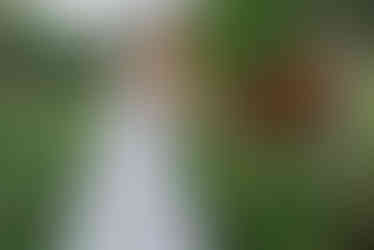 CourtneyRick_Highlights_0037