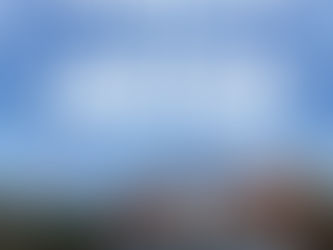 England v Japan matchday info