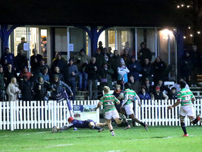 Men's Blues v Leicester Tigers: Match report