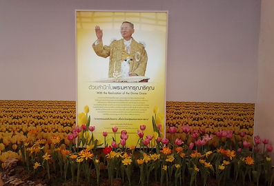 Blomsterhav i Chiang Mai