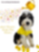 Phenious